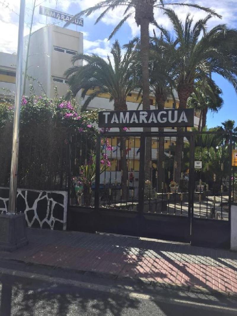 Apartamentos Tamaragua 플라야 델 잉글스 외부 사진